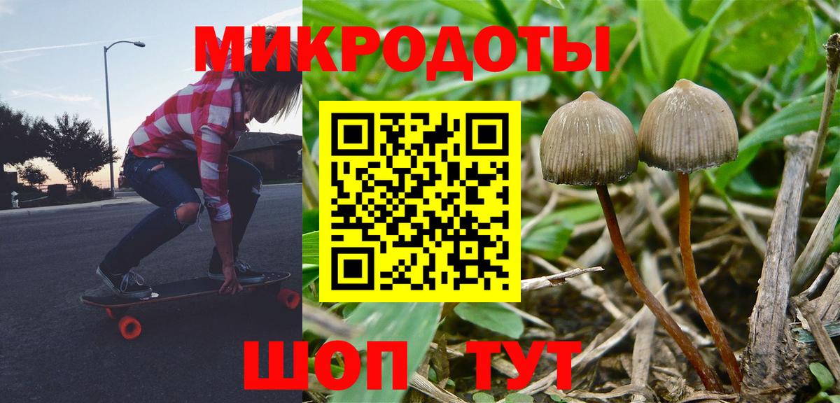 Курчатов  цена наркотик  Вход с VPN  Галлюциногенные грибы GOLDEN TEACHER 