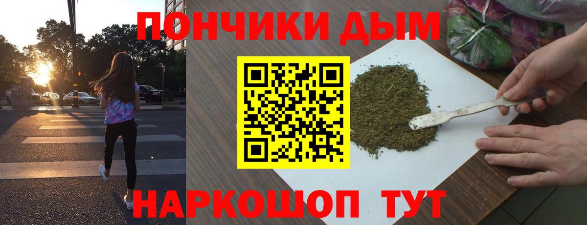 Шишки марихуана план Курчатов